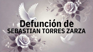 Defunción en Fuenlabrada de SEBASTIAN TORRES ZARZA