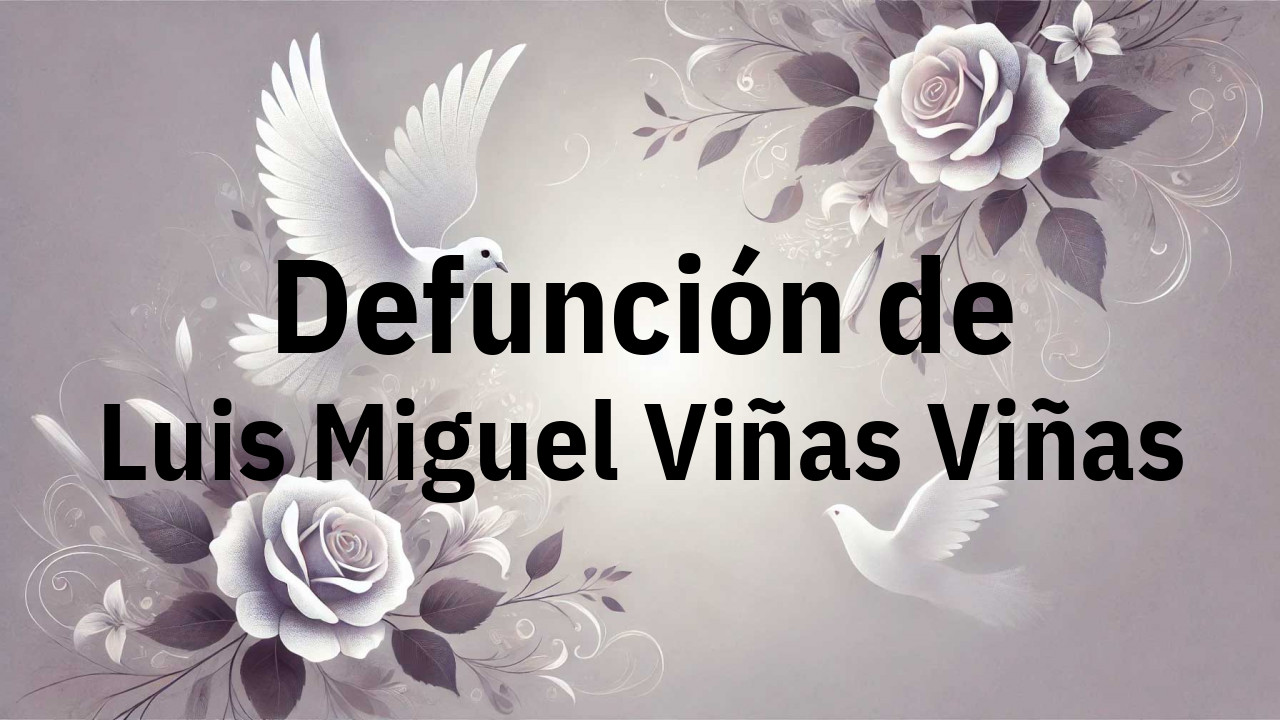Defunción en Fuenlabrada de Luis Miguel Viñas Viñas